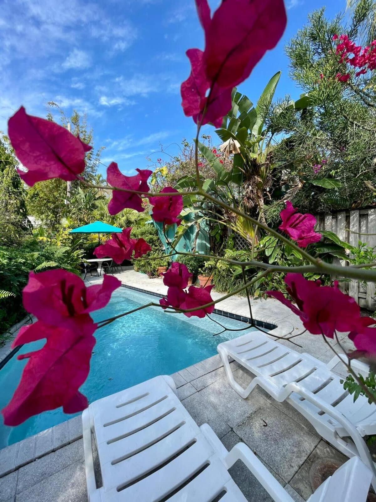 Delight And Cozy Apt Close To Las Olas & The Beach Villa Fort Lauderdale Eksteriør bilde